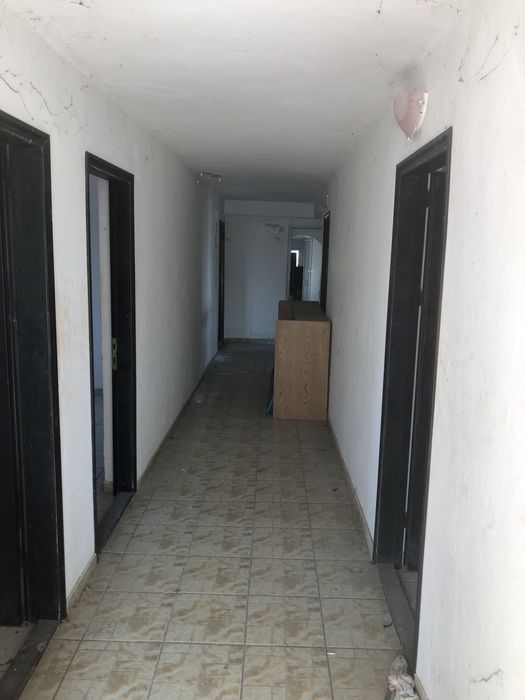 Stradal pe Soseaua Alexandriei