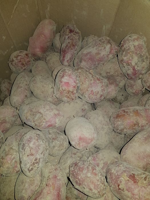 Kartoshka картошка