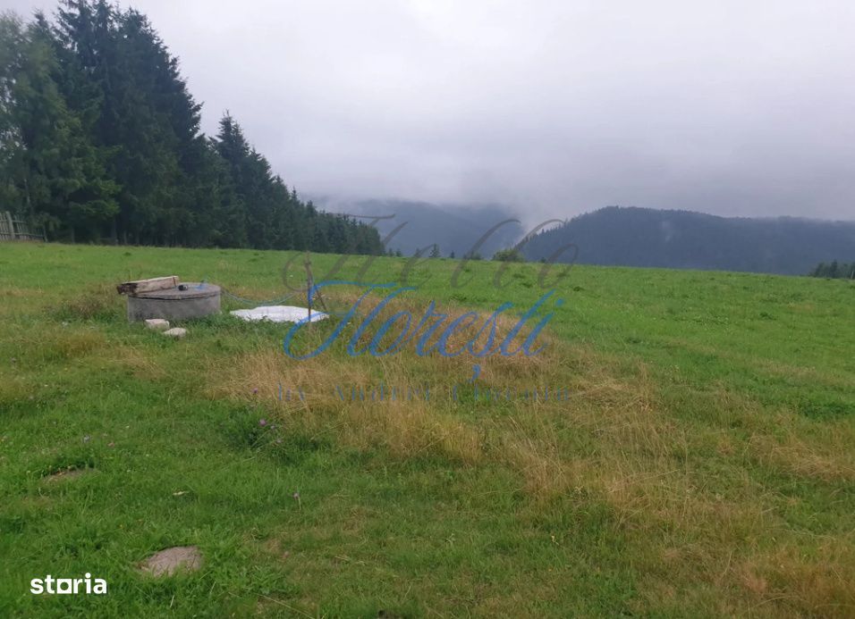 Teren de vanzare partial intravilan, Rasca, 10989mp