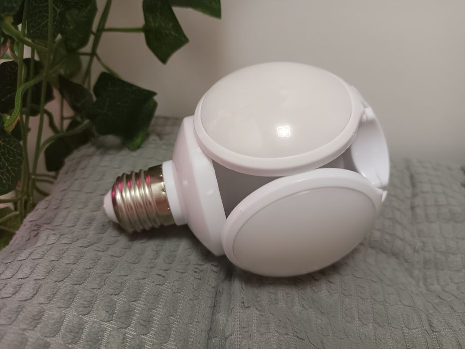 Яркая лампочка, раскладушка б/у