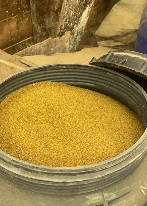 Vand lucerna de talie mare in Arad 15 lei/kg