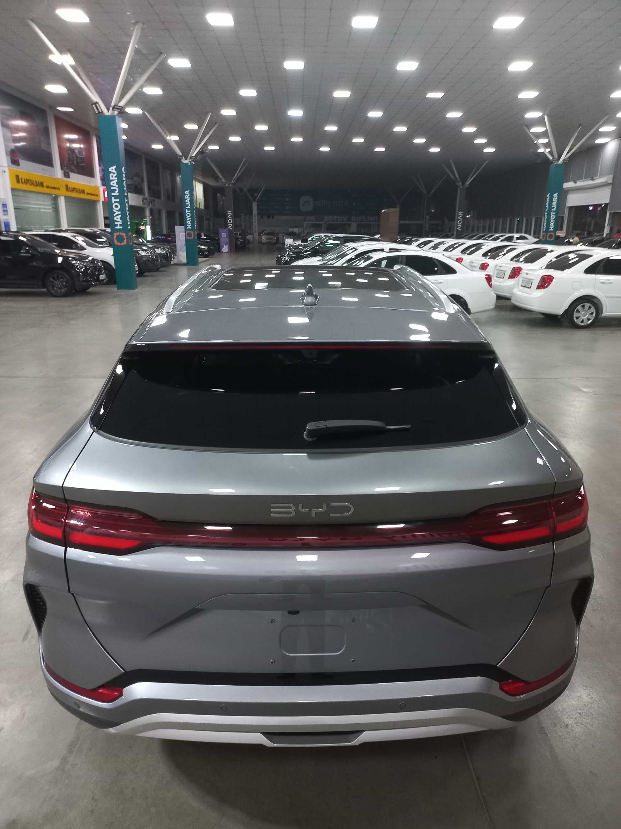 BYD CHAMPION 2025/26 smart drive