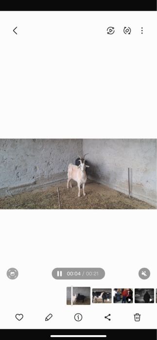 Сатылады 32 мыңнан