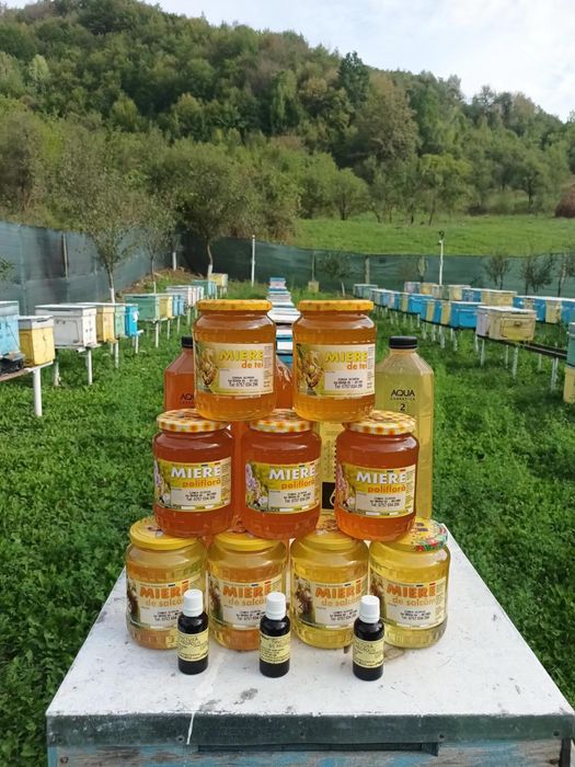 Miere de albine: Polifloră, Tei. Livrare la domiciliu!