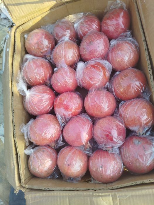 Анор сотилади оптом