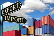 Декларант/Customs clearance service/报关人