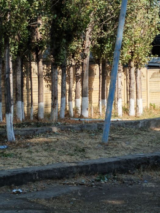 Terak bor sotiladigan