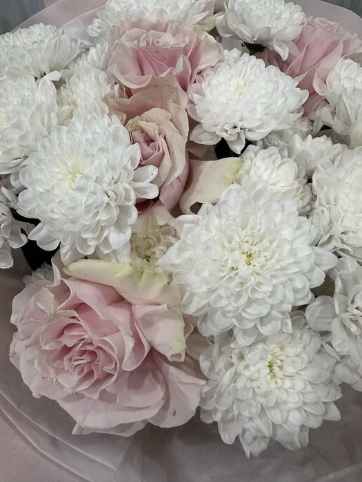 Продам свежие цветы не дорого