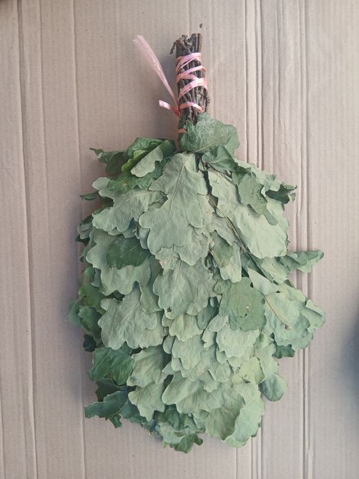 Дубовые веники для бани