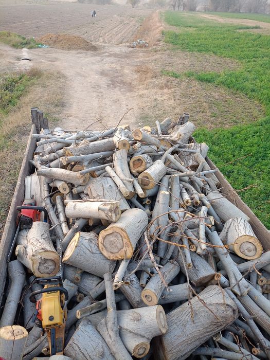 Narxlarini oʻziga qarab gaplashigʻadi