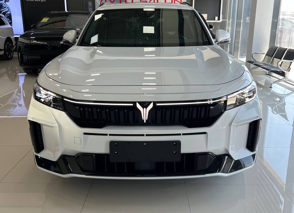 Voyah free apollo tech 318