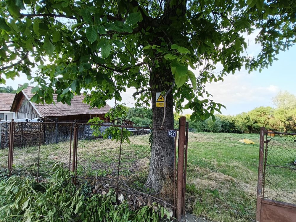 Teren intravilan cu utilități în Moldovenești