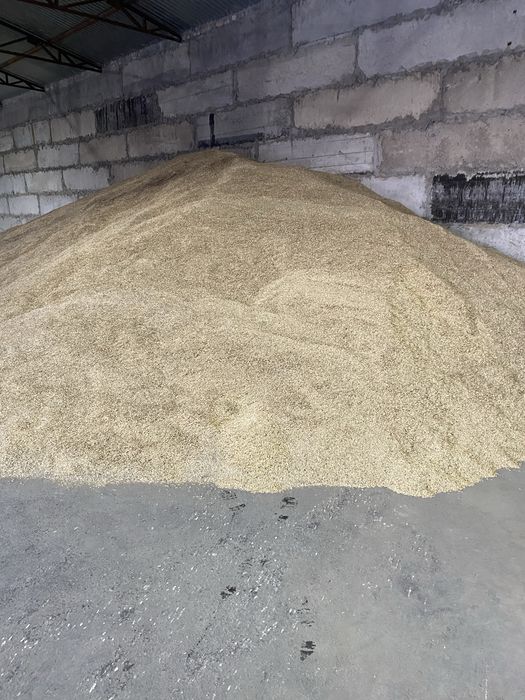 Продам           Овес.