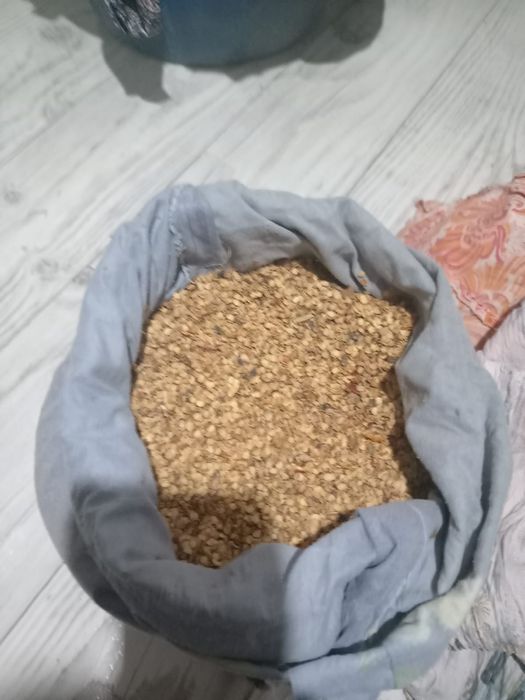 Балгарский баклажан урык тар бар