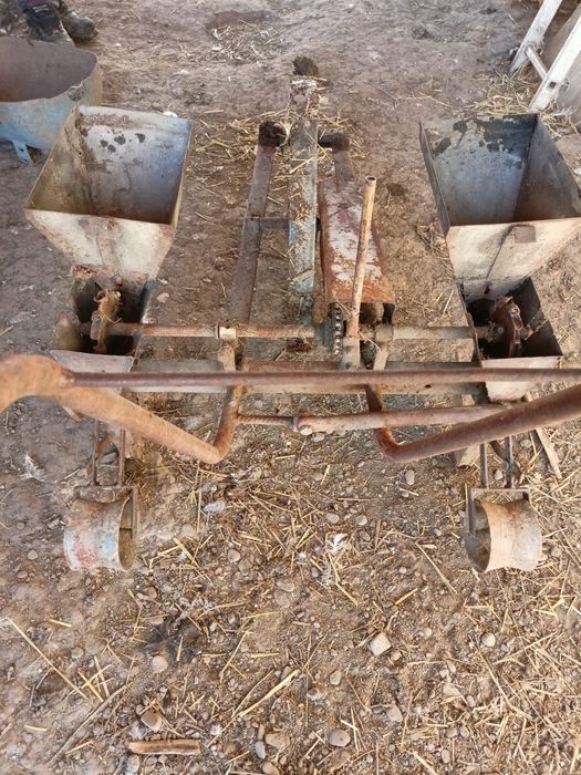 Vand semanatoare cal