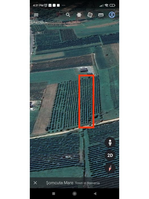 Teren intravilan cu pomi fructiferi – Loc de casă perfect