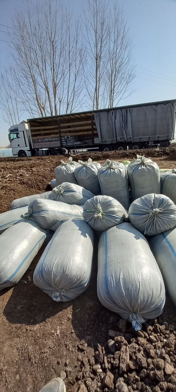 Biogomus toshkent bizda barcha turdagi qulayliklar yaratilgan