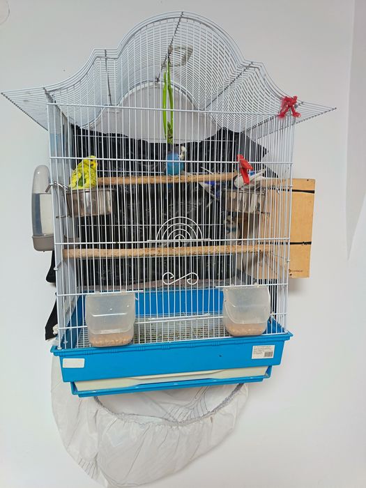 6 peruși +cușcă +cuibar cu oua