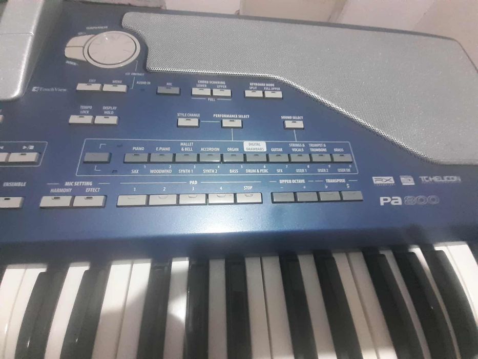 Korg Pa 800  рам 64 мб