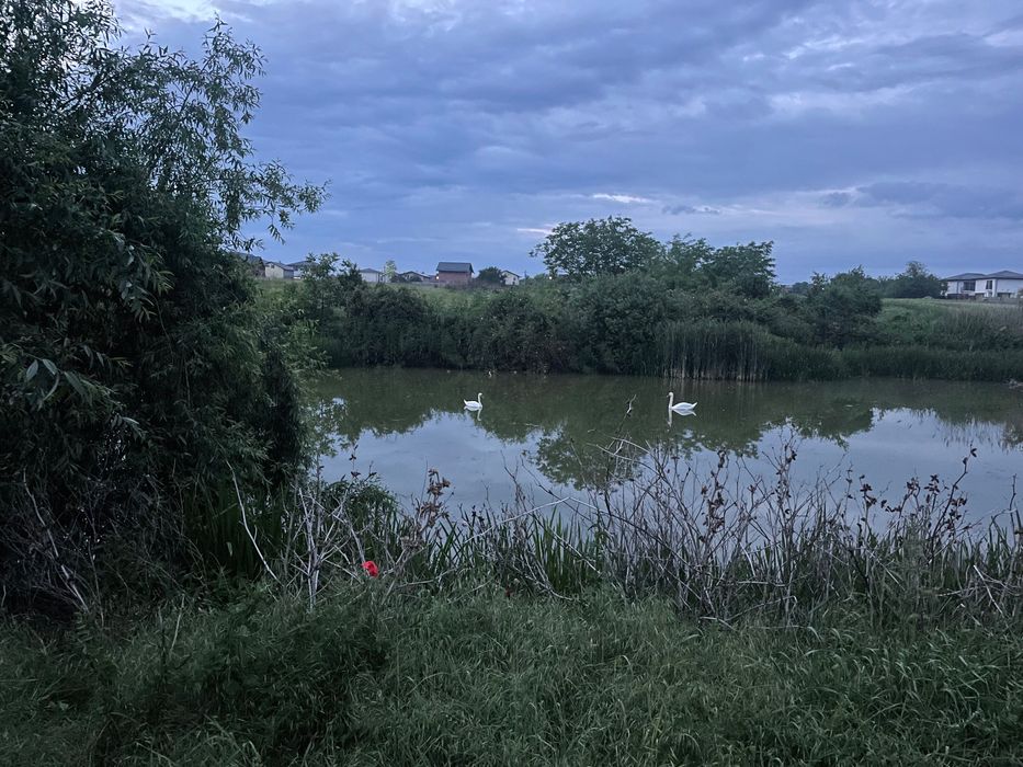 Teren intravilan de vanzare Ilfov