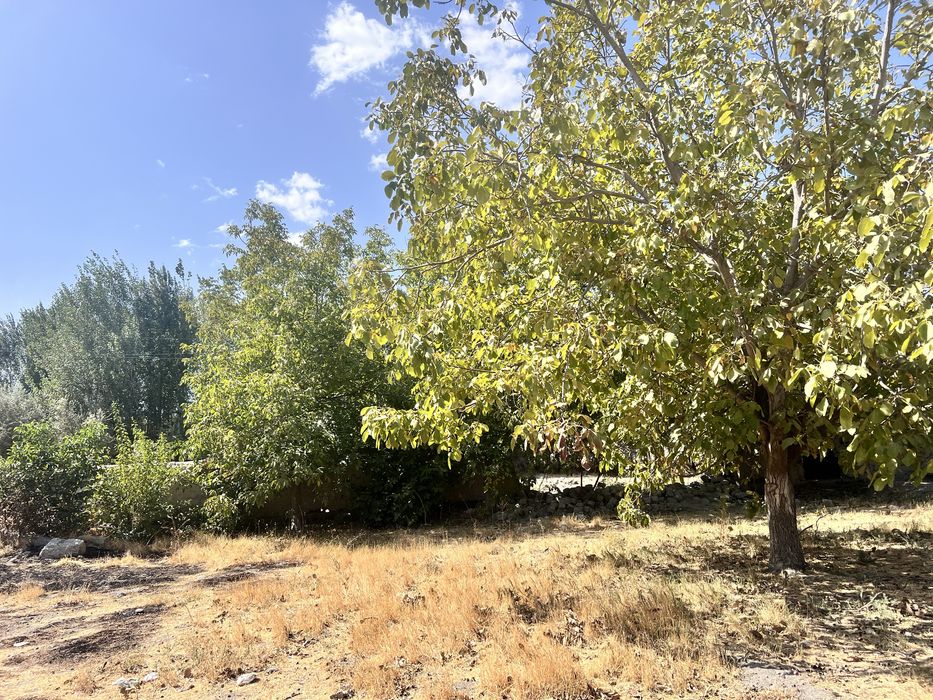 Jomboy sentiri Islomobod ko’chasida 3 sotxlik yer sotiladi!