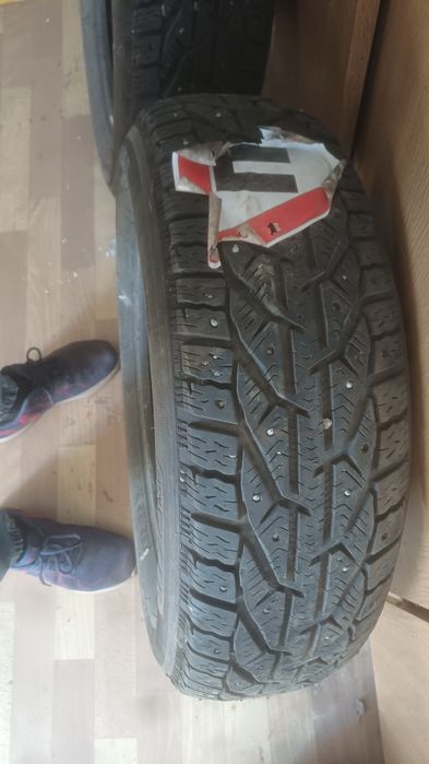 Шины продам шипованную.