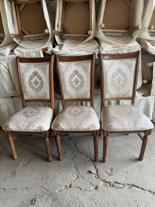 Prokat Stul Naves Zontik Shirma Agrajdeniya Prakatga beramiz dastavka