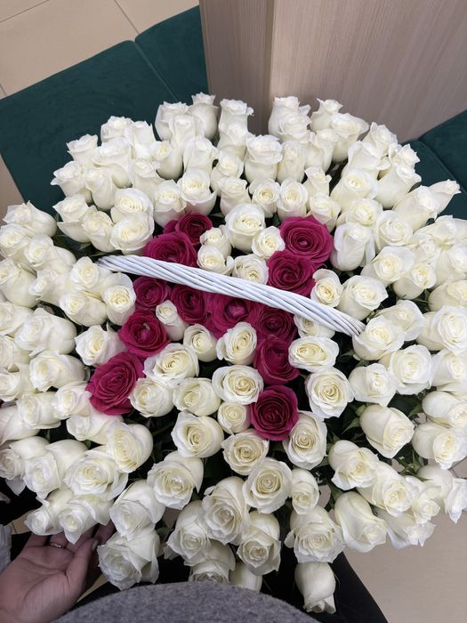 Гул сатамын свежый