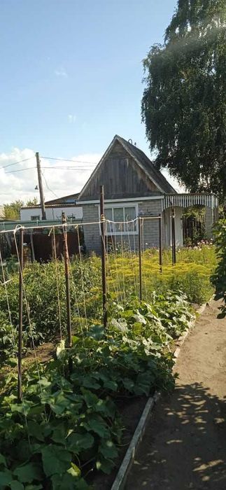 Продам две дачи на одном участке, садоводство "Яблонька".