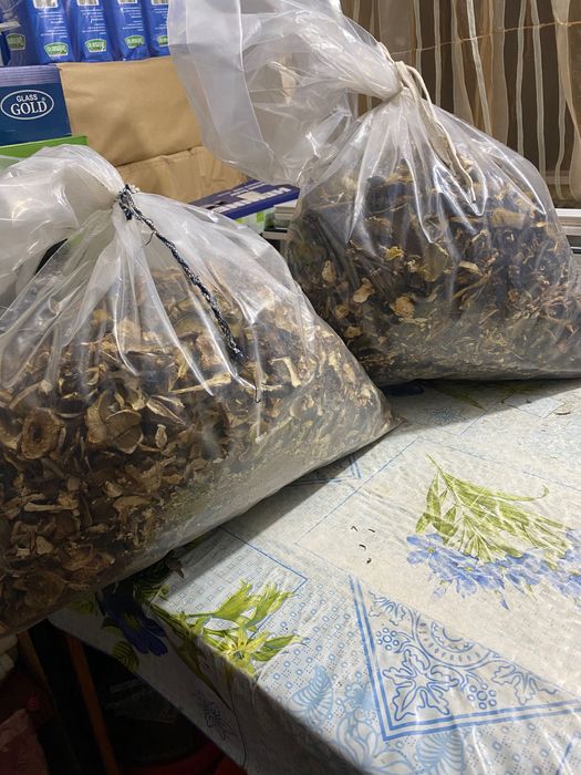 Vand hribi Uscati de toamna