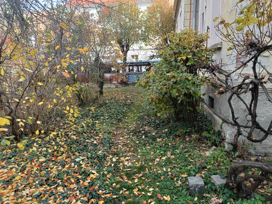 Persoana fizica vand apartament la casa  2 camere mari zona centrala