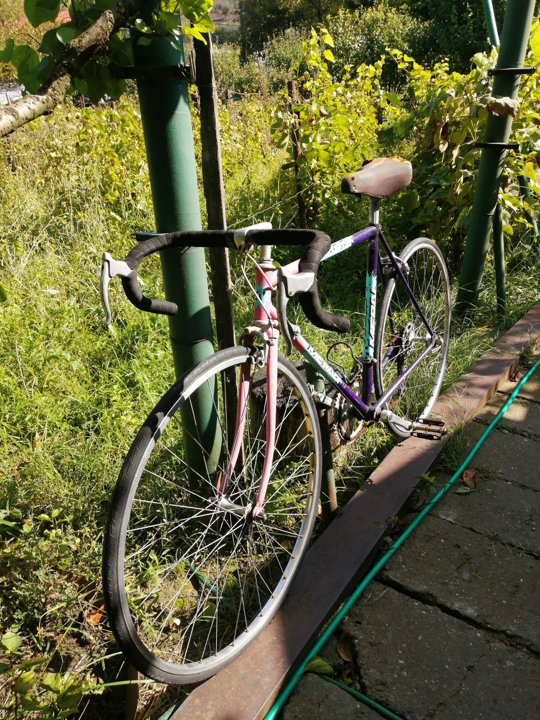 Bicicleta cursiera