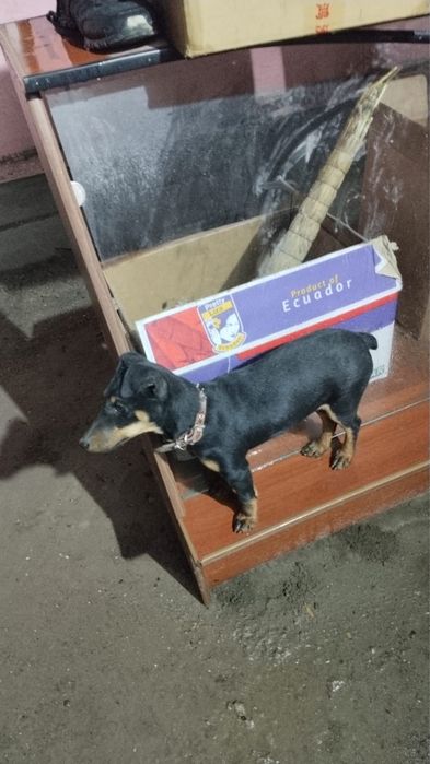 Ягтерерьииииииииии