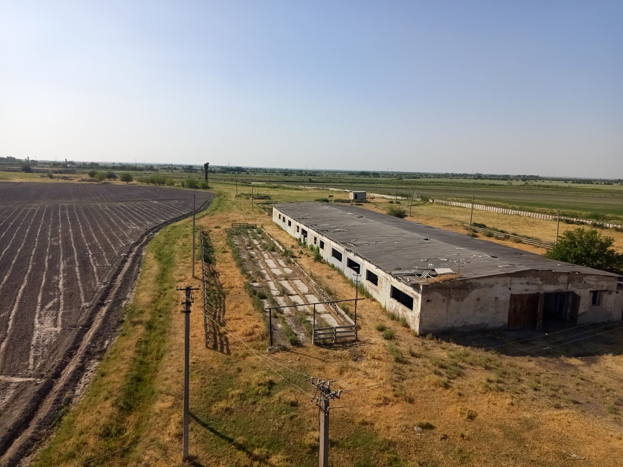 Продается ферма большая