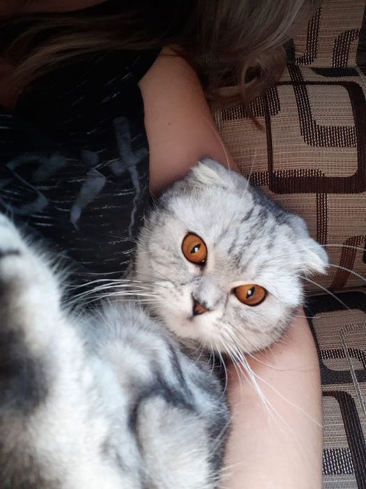 вознаграждение 50.000