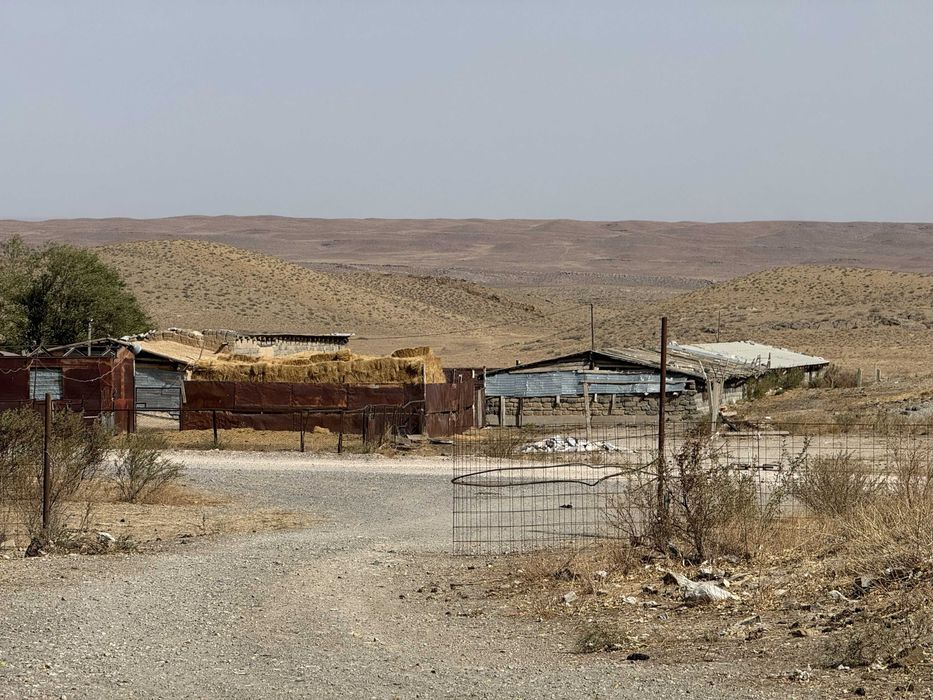 Фазенда крестьянское хозяйство пастбища