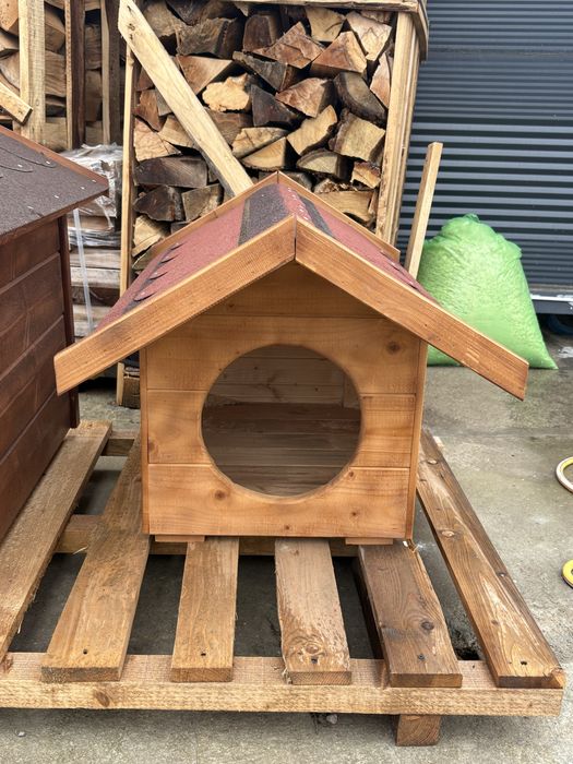 Cotete catei diferite dimensiuni