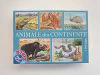 Joc Animale din continente D-Toys – Joc de cultură generală