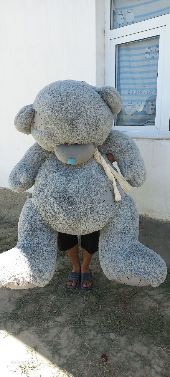 Тедди Мишка. Ayiqcha Teddy