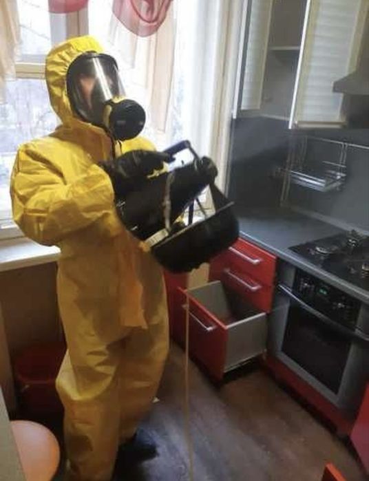 Chistodez.uz — Профессиональная дезинсекция  дезинфекция в Узбекистане