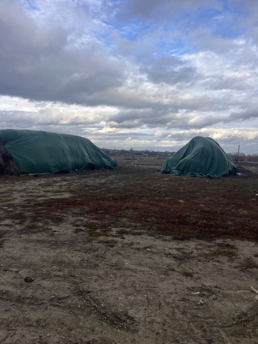 Baloti de fan com holboca