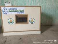 Inkubator sotiladi