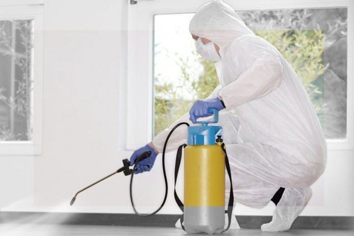 Dizenfeksiya klapa tarakan дезинфексия клапа таракан