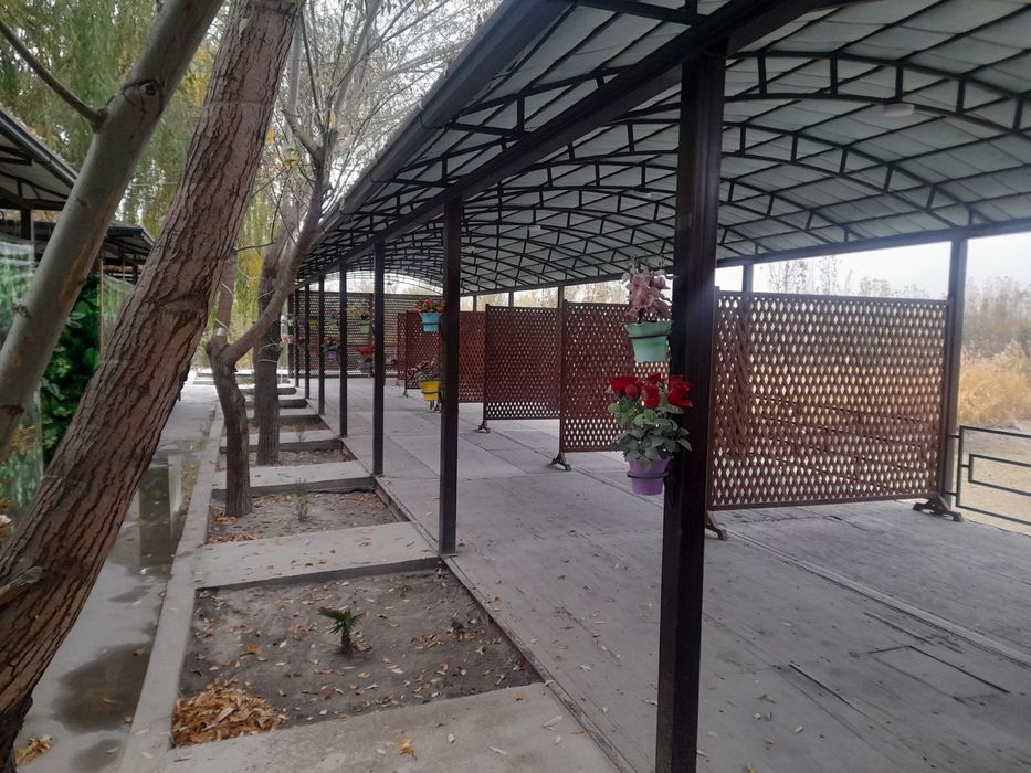 Baliqxona arendaga beriladi