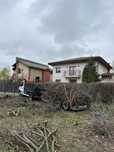 Evacuare,debarasare crengi ,resturi vegetale , gazon