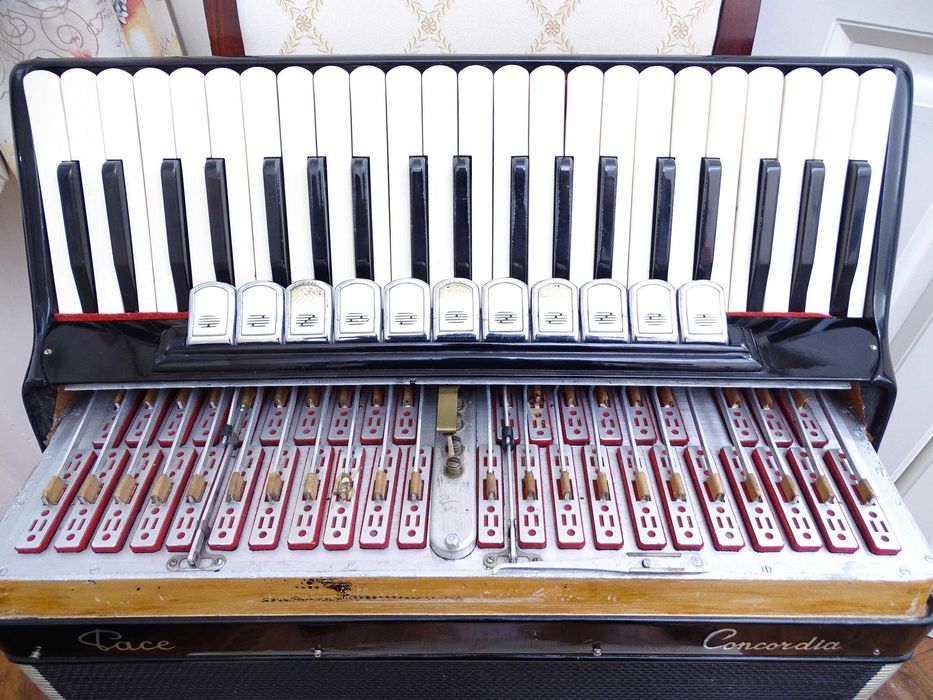 Италиански акордеон CONCORDIA Italia - 120 баса