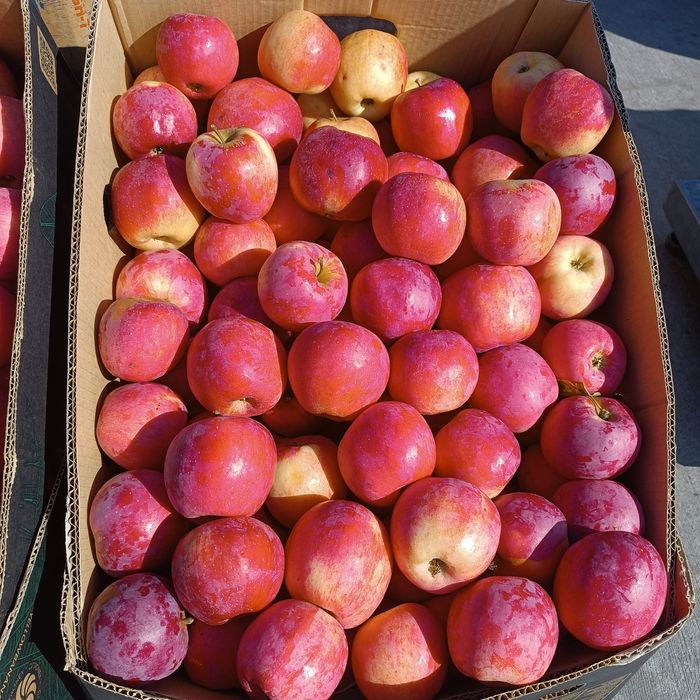 Mere calitate superioara