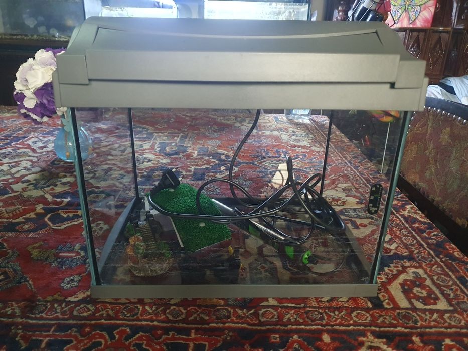 Vand acvariu pentru pesti sau broscuta