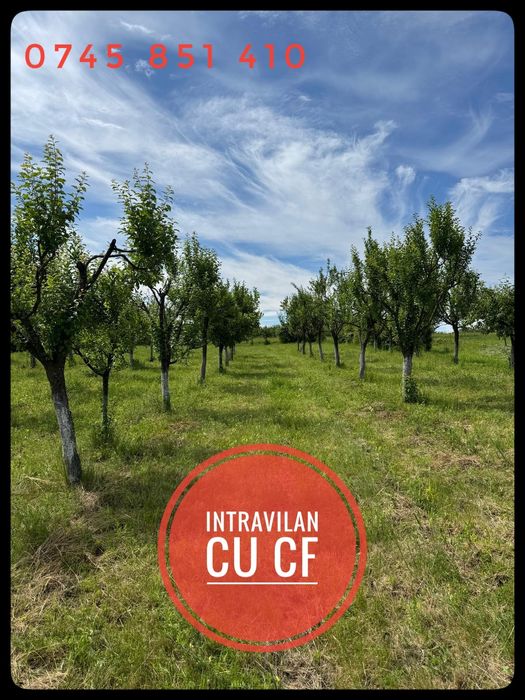 Teren INTRAVILAN utilitati CF 1.1 Ha