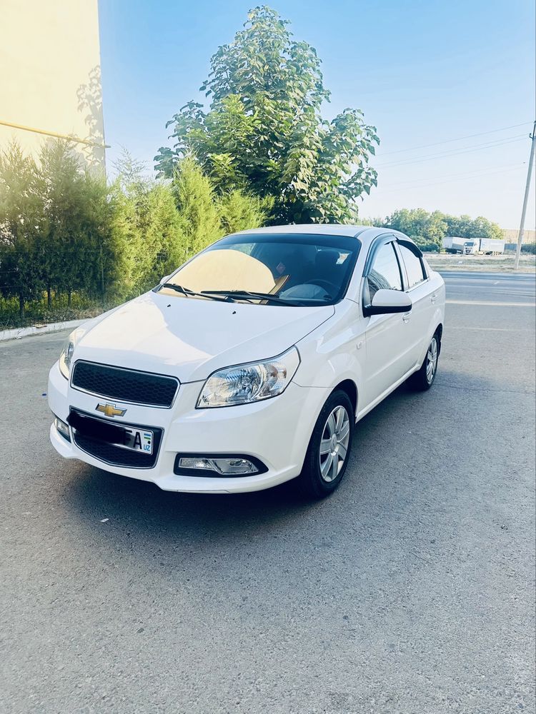 nexia 3 kraska tozza